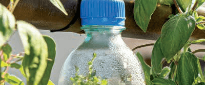 Upcycle Your Favorite Veggies Upcycle Your Favorite Veggies