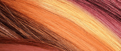 Getting Down to the Science of Hair Getting Down to the Science of Hair