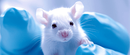 Save the Critters - Reducing Animal Testing in Research
