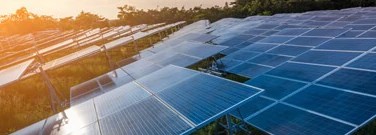 astronomy-earth-sci-archive-green-plants-inspire-better-solar-cells-1761