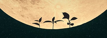 hd-PlantsMoonLunarSoilDirt-22-711-1720