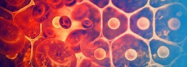 astronomy-archive-peering-inside-living-cells-1761