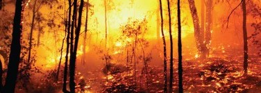 astronomy-earth-sci-archive-carbon-emissions-threaten-arctic-1761