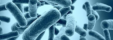 complex-patterns-biofilms-0520