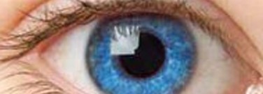 biology-archive-you-can-run-but-you-cant-hide-those-baby-blues-1761