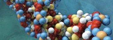 biology-archive-advancing-toward-synthetic-life-xna-1761