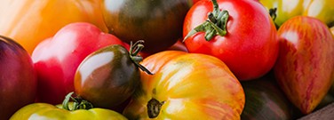 secret-genetic-life-tomatoes-1761