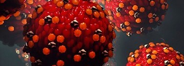 the-effect-measles-immunity-arch-1761