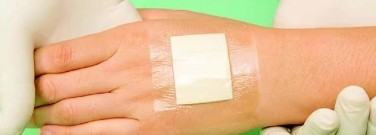 biology-archive-optimized-healing-thanks-virtual-wounds-1761