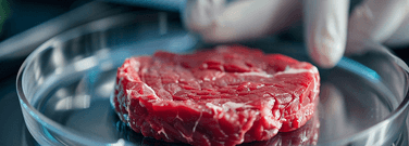 From Lab to Table: The Benefits of Lab-Grown Meat