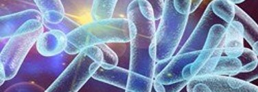 biology-archive-fighting-pathogens-few-good-bacteria-1761