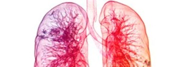 biology-archive-3d-imaging-diagnose-lung-disease-1761