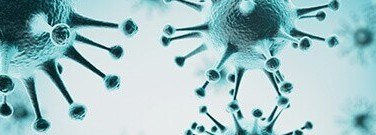 biology-archive-viruses-capable-gene-transfers-1761