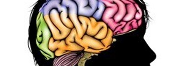 biology-archive-testosterone-teenage-brain-1761
