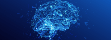 Discovery Roundup: The Brain