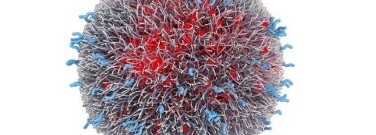 Chemistry-archive-tiny-particles-have-big-impact-treating-cancer-1761