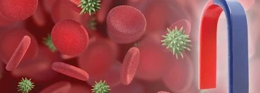 chemistry-magnets-may-cull-deadly-germs-blood-1761