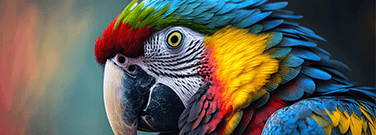 Unlocking the Rainbow: The Secret Behind Parrot Feather Colors