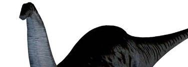 elementary-archive-the-name-game-brontosaurus-apatosaurus-1761