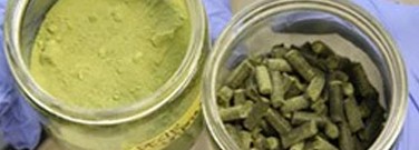 enviro-archive-is-algae-answer-greener-beef-1761
