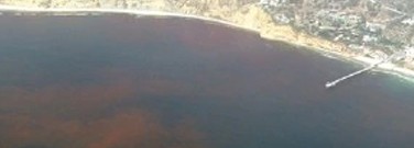 enviro-archive-2014-gulf-mexico-dead-zone-1761