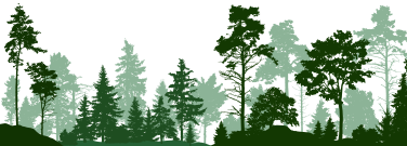 Trees Share Some Survival Secrets Through Ultrasound