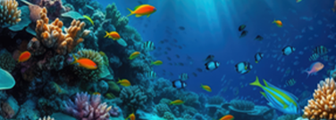 Pacific Ocean Is Home to Thousands of New Species