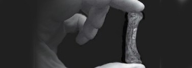 life-sciences-archive-human-evolution-precision-grip-1761
