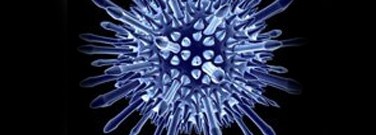 life-sciences-archive-same-virus-more-fat-lessblood-sugar-1761