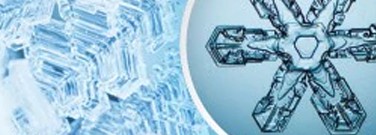 Life-science-archive-the-science-snow-1761