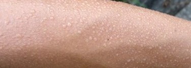 life-sciences-archive-15-things-you-didnt-know-about-sweat-1761
