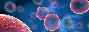 natural-killer-cells-d-2220