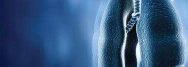 life-sciences-archive-using-stem-cells-to-fight-lung-disease-1761