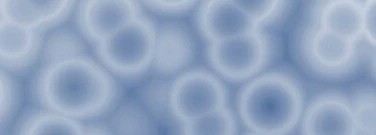 life-sciences-archive-uncovering-effects-food-preservatives-1761