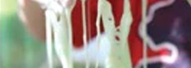 physical-science-archive-what-world_-is-oobleck-1761