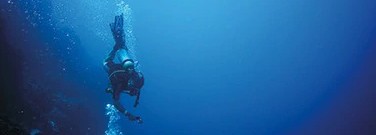 stem-archive-sea-diving-for-medicine-1761