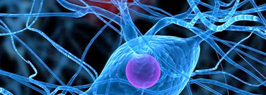 Could Bioelectronics Be the Future of Medicine?