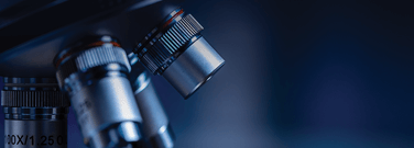 Exploring the Microscopic World: Thermo Fisher Scientific Microscopy Imaging Contest 2024