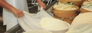 stem-archive-cheese-making-scientific-methodology-1761
