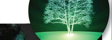 stem-archive-is-green-illumination-horizon-1761