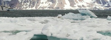 stem-archive-how-does-changing-sea-ice-impact-1761