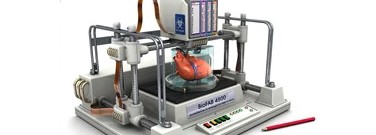 technology-archive-growing-new-organs-1761
