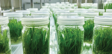 Biotechnology curriculum and product guides Biotechnology curriculum and product guides