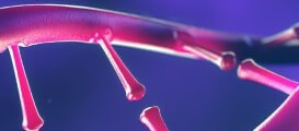 IVF Solutions