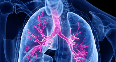 Respiratory Tract Microbiota Detection Respiratory Tract Microbiota Detection