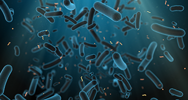 Urinary Tract Microbiota Detection Urinary Tract Microbiota Detection