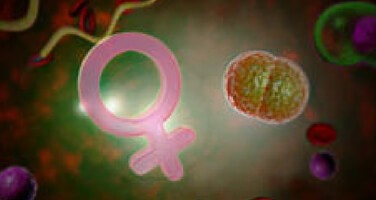 vaginal-microbiota-hub vaginal-microbiota-hub
