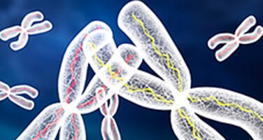 Cystic Fibrosis Transmembrane Regulator Real-Time (CFTR) PCR Solution Cystic Fibrosis Transmembrane Regulator Real-Time (CFTR) PCR Solution