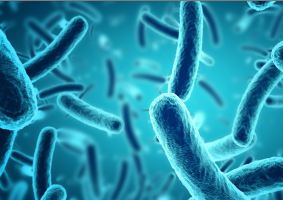 How Accurate MIC Results Can Help Manage Critical Patients with MDRO Infections