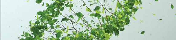 Corning Sustainability Brochure Corning Sustainability Brochure